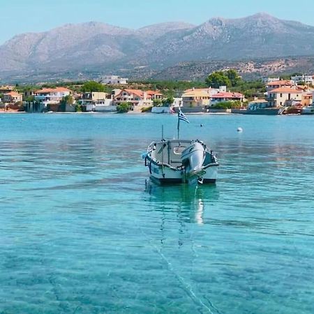 Κατοικία 80 Τ.Μ. Δίπλα Από Την Θάλασσα Στην Ελιά. Elia  Buitenkant foto
